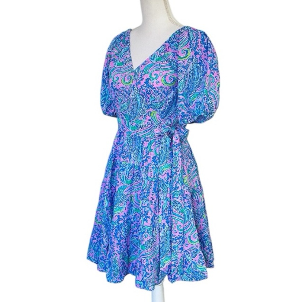 Lilly Pulitzer Blue Pink Green Paisley Fit-and-Flare Dress